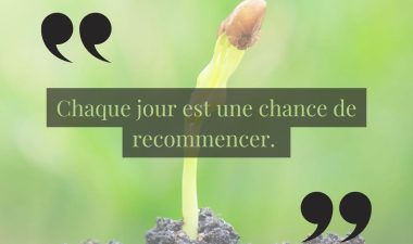 476219816_122186879324102189_5650945318345371065_n