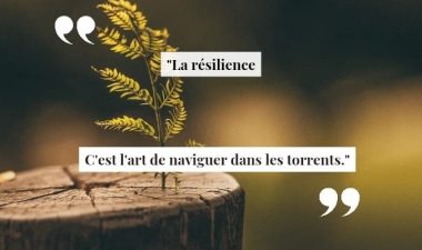 492411133_122198184512102189_3461063744355291580_n