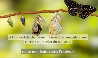 540843052_122217034742102189_643794163579101066_n