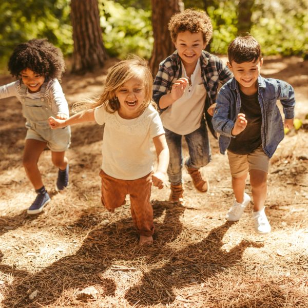 Group of kids running up in the forest. Multi-ethnic children playing together in forest.