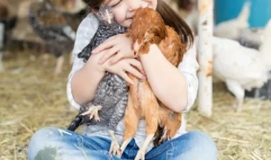 cceb65_9911b0180b774b7fa75322b547379bc4~mv2