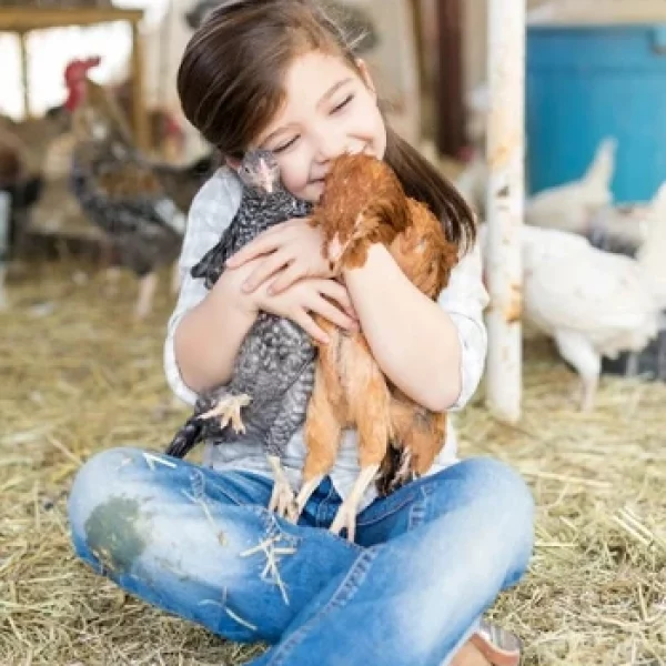 cceb65_9911b0180b774b7fa75322b547379bc4~mv2